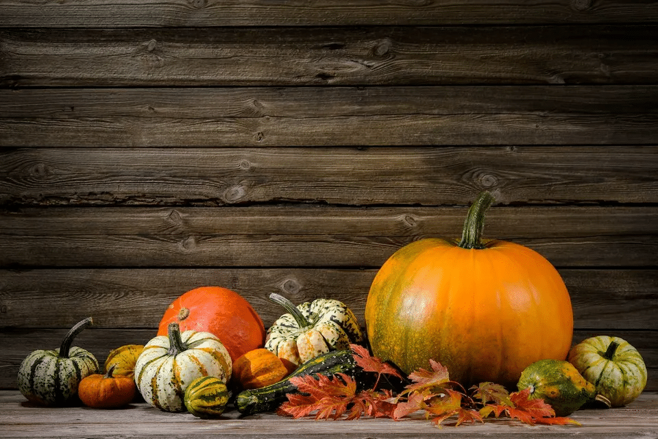 Fall Pumpkins and Gourds