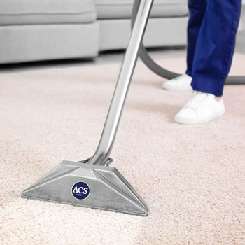 Carpet Cleaning and Repair