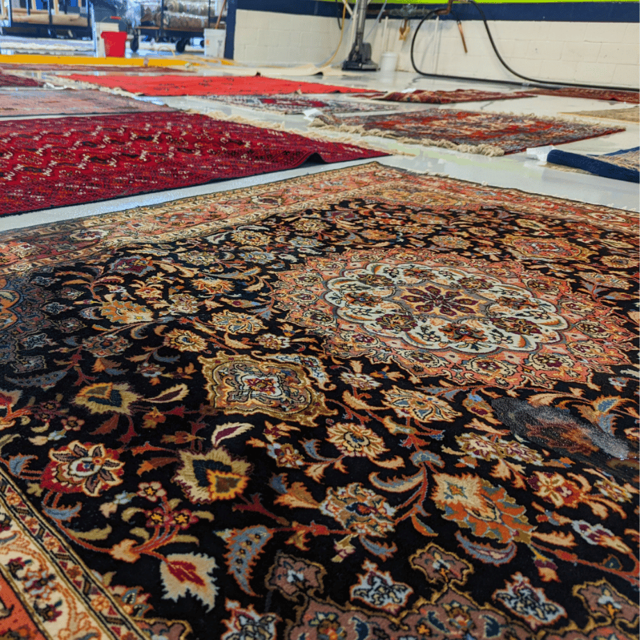 Professional Rug Cleaning