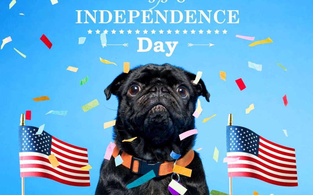 Celebrate Independence from Dirt: Why Summer Is the Best Time to Refresh Your Rugs, Carpets, and Outdoor Cushions