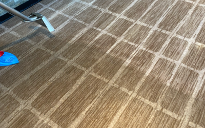 Why Does Professional Carpet Cleaning Cost So Much?