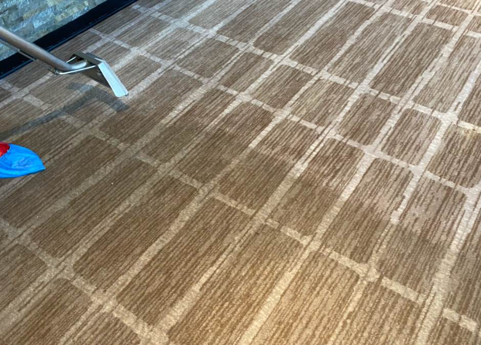 Why Does Professional Carpet Cleaning Cost So Much?
