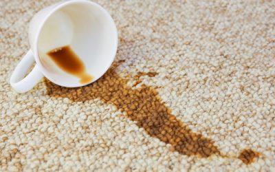 What Is the Best Way to Remove Coffee Stains from a Wool Rug?
