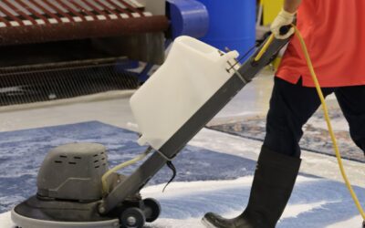 Should I Get My Rugs Professionally Cleaned If I Have Mold in My Home?